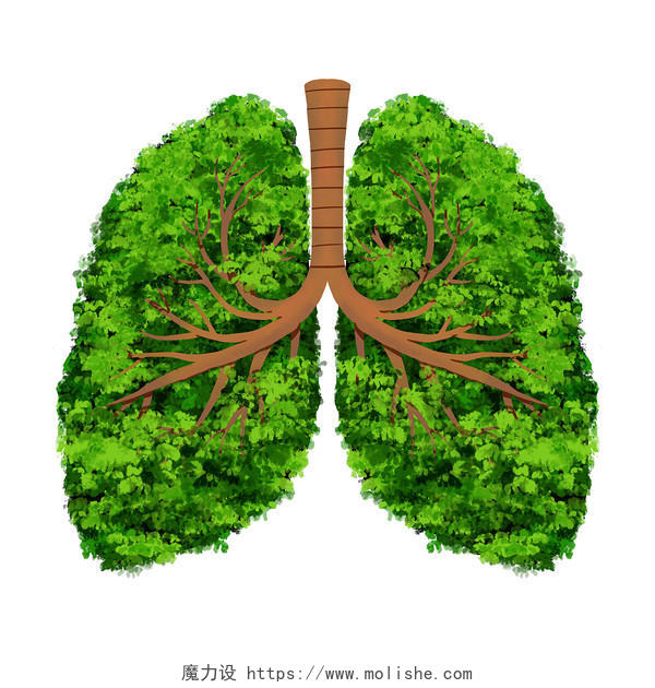手绘关爱健康绿色肺元素插画世界防治结核病日